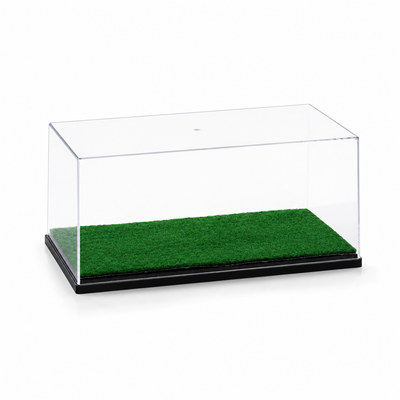 Fußballschuh Vitrine Groß ab Schuhgröße 36